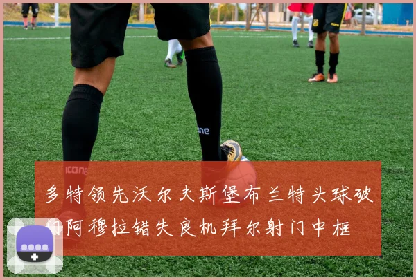 多特领先沃尔夫斯堡布兰特头球破门阿穆拉错失良机拜尔射门中框