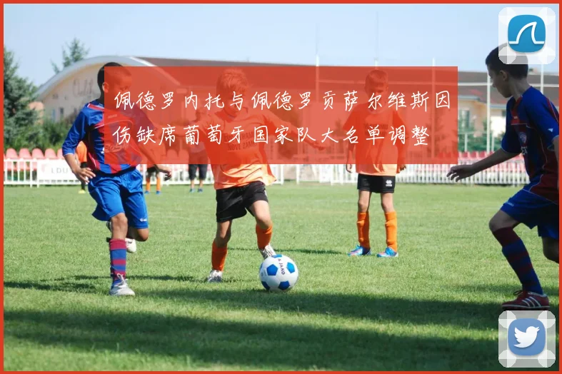 佩德罗内托与佩德罗贡萨尔维斯因伤缺席葡萄牙国家队大名单调整
